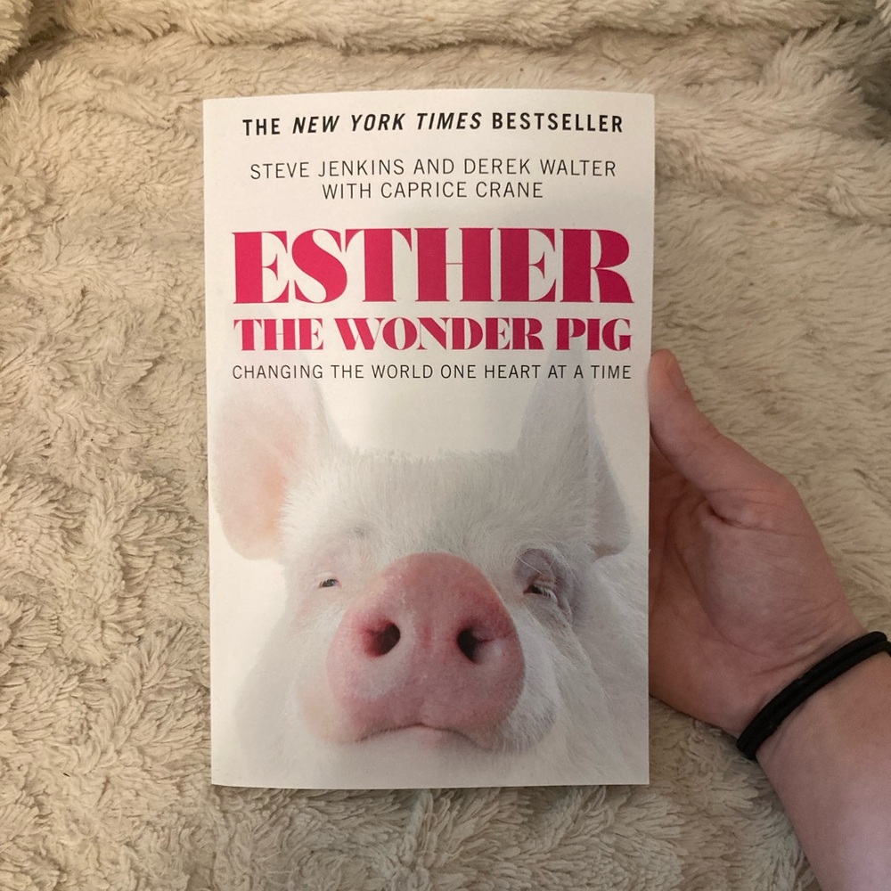 Esther the Wonder Pig